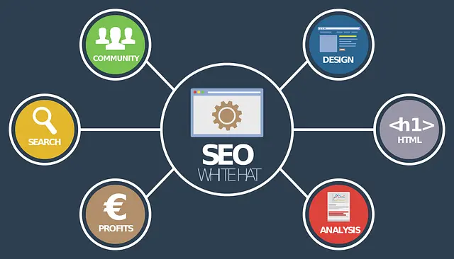 Best SEO Services in Bangladesh 2024